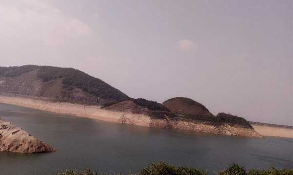 黑麋峰峰頂 綠樹(shù)蔥蔥，空氣都是甜的