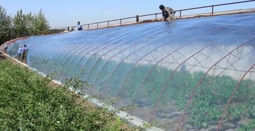 大棚吹膜用哪種增白劑？